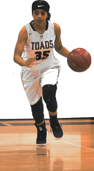 ToadsVFire2Transparent